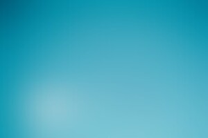 Фотография квиза Wow Quiz от компании Wow Quiz (Фото 1)